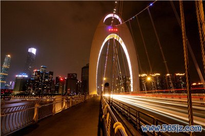 广州宠物会所